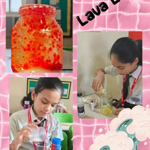 WhatsApp Image 2026-02-04 at 5.36.36 PM (1)